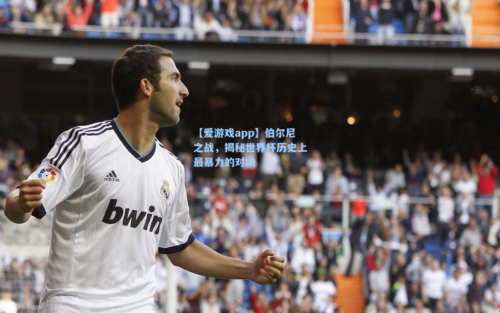 【爱游戏app】伯尔尼之战，揭秘世界杯历史上最暴力的对决